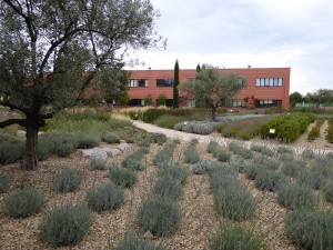 Mediterraner Garten