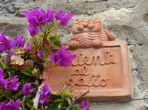 Attenti al gatto!