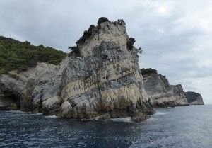 Palmaria