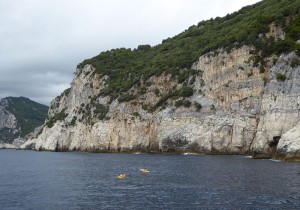 Palmaria