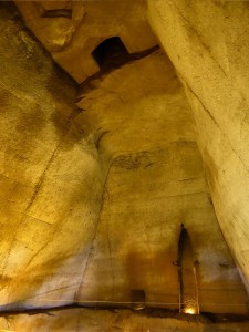 der Basilikum hat viel Platz nach oben