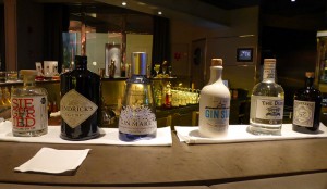 Gin-Auswahl
