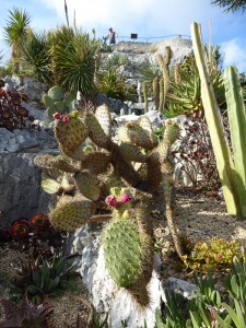 Jardin d´Eze