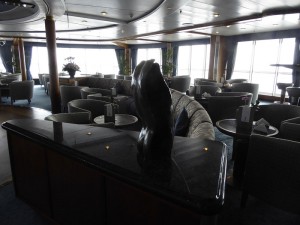Club Belvedere