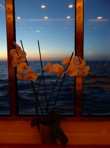 Aussicht auf die MSC Preziosa