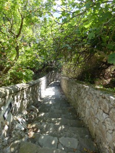 Scala Fenicia