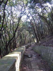 Scala Fenicia
