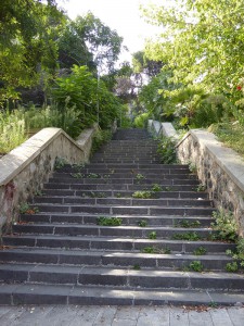 diese Treppe hoch