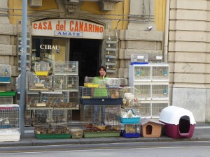 Zoohandlung mit allerlei Getier