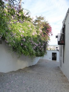 Gasse in Dalt Vila