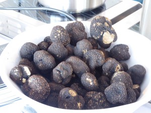 Bos Food