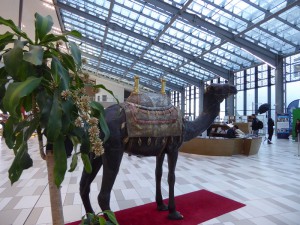 Abu Dhabi Cruise Terminal