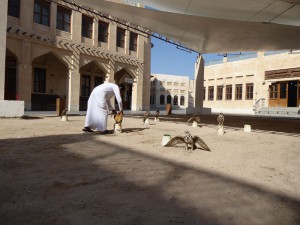 Falken Souk