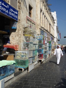Vogel- und Kleintier Souk