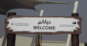 Sir Bani Yas Cruise Beach