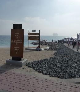 Sir Bani Yas Cruise Beach