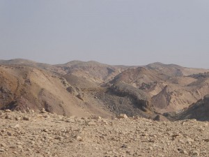 Jeep Safari