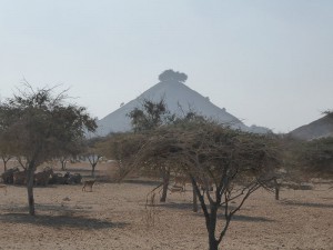 Jeep Safari