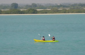 Sir Bani Yas Cruise Beach