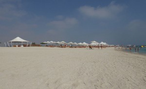 Sir Bani Yas Cruise Beach