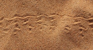 Spuren im Sand