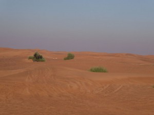 Dune Bashing