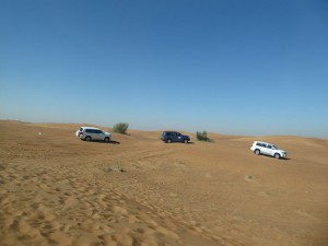 Dune Bashing