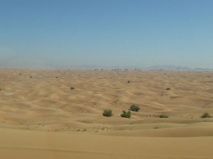 Dune Bashing