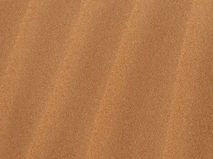 Spuren des Winds