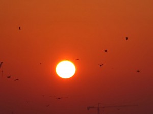 Sonnenuntergang