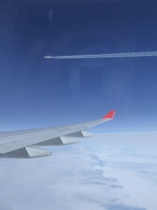 Paralellflug