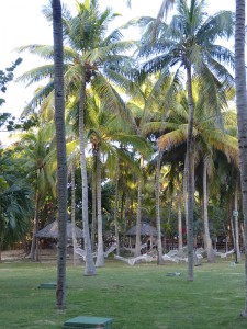 Hotel Brisas del Caribe