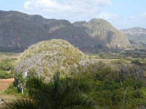 Viñales-Tal mit Mogotes-Kegelfelsen