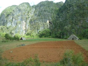 Viñales-Tal