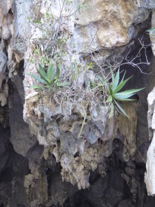 Eingang zur Höhle