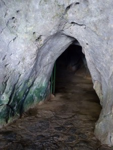 Palenque de los Cimarrones