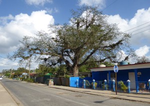 Viñales