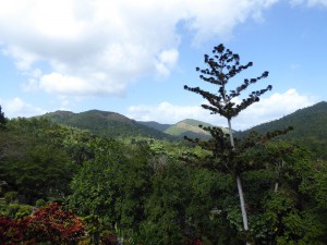 Orquideario Soroa