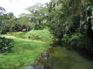Soroa Wasserfall