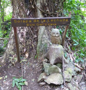 Solapa de la Lechuza (Barn Owl´s Cave)