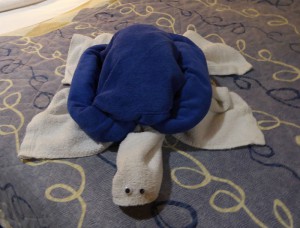 Handtuch-Schildkröte
