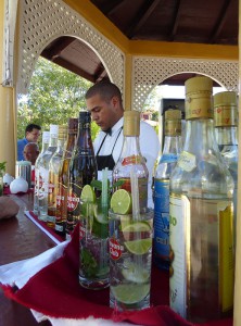 Los Mejores Mojitos