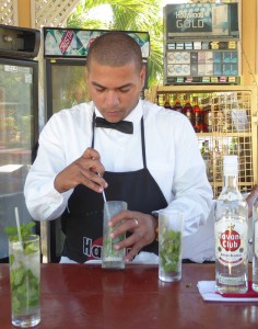 Los Mejores Mojitos