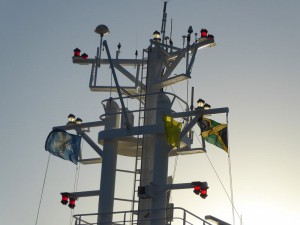 die Flagge von Jamaika ist gehisst