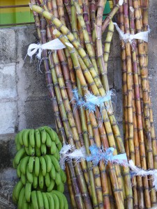 Markt in Montego Bay