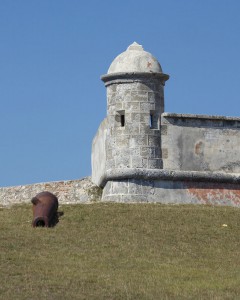 Festung El Morro