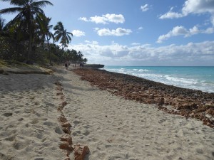 Blick auf den Strand