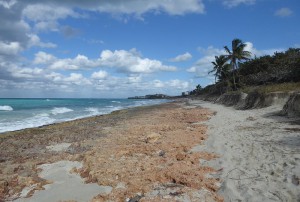Blick auf den Strand