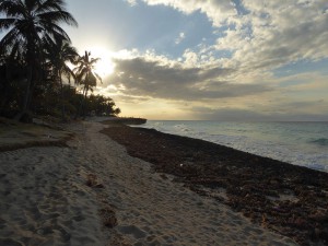 Strandspaziergang zum Sonnenuntergang