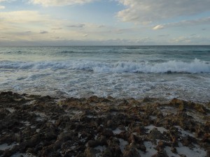 Strandspaziergang zum Sonnenuntergang
